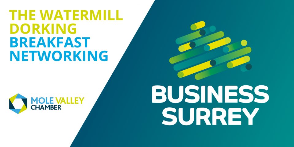 Business Surrey in Mole Valley District