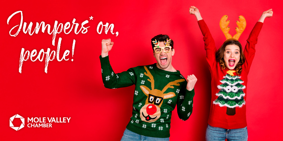 Mole Valley Chamber Surrey Christmas Networking