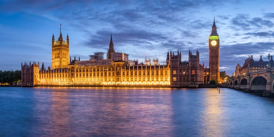 Mole Valley Chamber members' tour of the Houses of Parliament