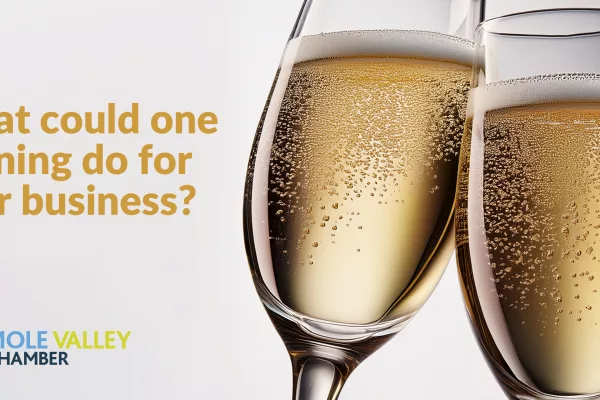 An evening of free networking and great conversation at The White Horse, Dorking, Surrey