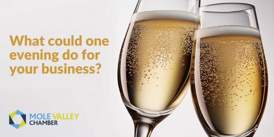 An evening of free networking and great conversation at The White Horse, Dorking, Surrey