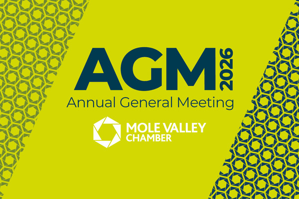 Mole Valley Chamber AGM 2026, online annual general meeting for Surrey business networking