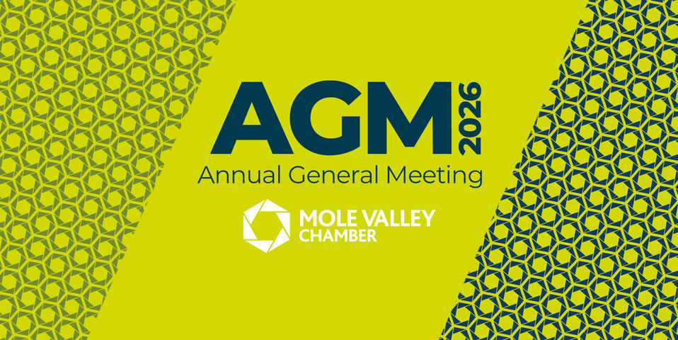 Mole Valley Chamber AGM 2026, online annual general meeting for Surrey business networking